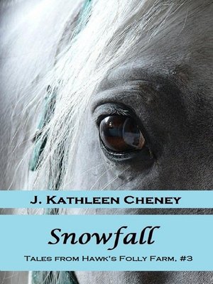 cover image of Snowfall